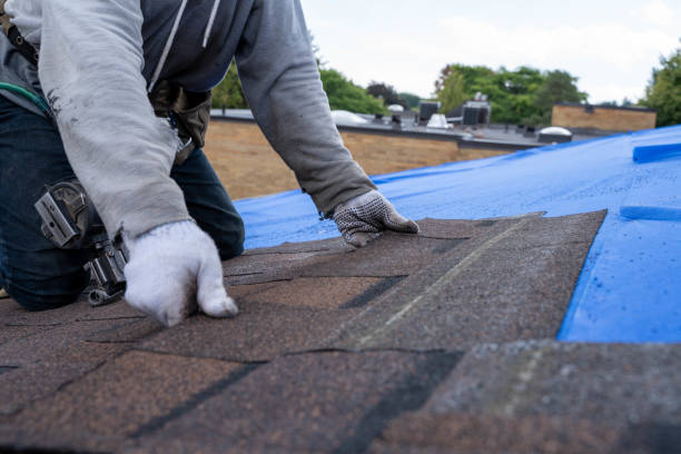 Roof Gutter Cleaning in Dunes City, OR