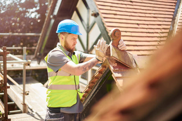 Best Roof Gutter Cleaning  in Dunes City, OR
